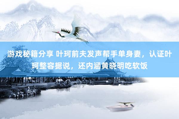 游戏秘籍分享 叶珂前夫发声帮手单身妻，认证叶珂整容据说，还内涵黄晓明吃软饭