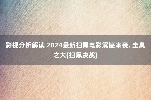 影视分析解读 2024最新扫黑电影震撼来袭, 圭臬之大(扫黑决战)