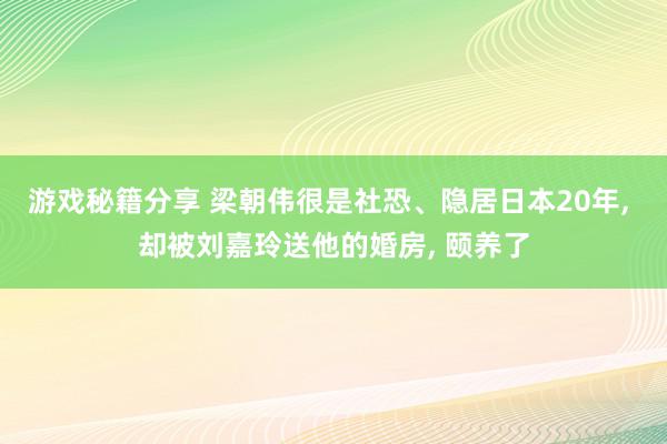 游戏秘籍分享 梁朝伟很是社恐、隐居日本20年, 却被刘嘉玲送他的婚房, 颐养了