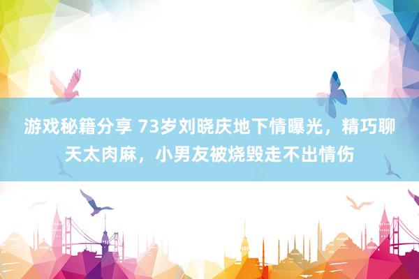 游戏秘籍分享 73岁刘晓庆地下情曝光，精巧聊天太肉麻，小男友被烧毁走不出情伤