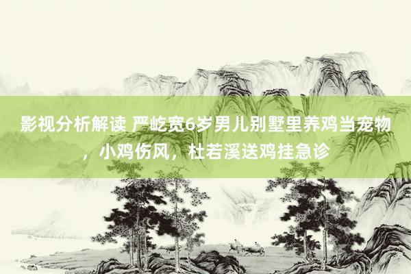 影视分析解读 严屹宽6岁男儿别墅里养鸡当宠物，小鸡伤风，杜若溪送鸡挂急诊