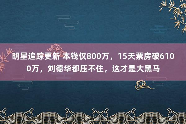 明星追踪更新 本钱仅800万，15天票房破6100万，刘德华都压不住，这才是大黑马