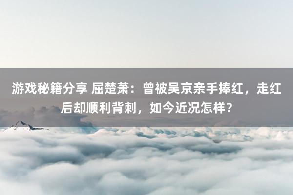 游戏秘籍分享 屈楚萧：曾被吴京亲手捧红，走红后却顺利背刺，如今近况怎样？