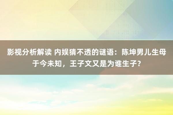 影视分析解读 内娱猜不透的谜语：陈坤男儿生母于今未知，王子文又是为谁生子？