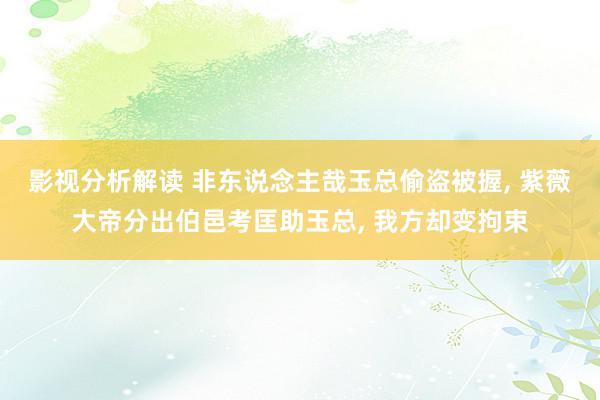 影视分析解读 非东说念主哉玉总偷盗被握, 紫薇大帝分出伯邑考匡助玉总, 我方却变拘束