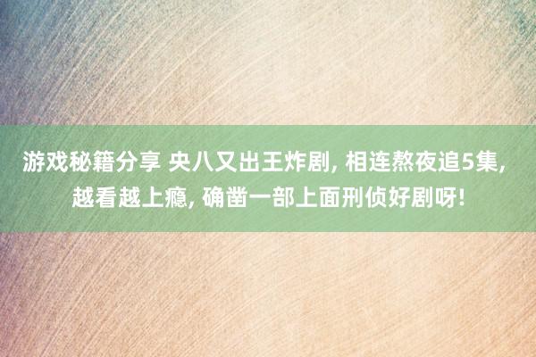 游戏秘籍分享 央八又出王炸剧, 相连熬夜追5集, 越看越上瘾, 确凿一部上面刑侦好剧呀!