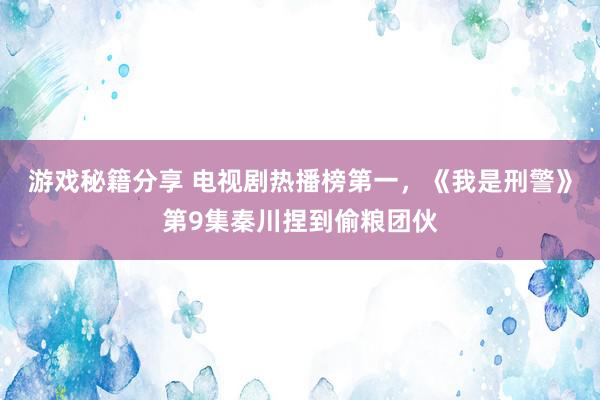 游戏秘籍分享 电视剧热播榜第一，《我是刑警》第9集秦川捏到偷粮团伙