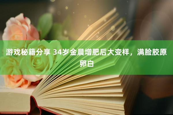 游戏秘籍分享 34岁金晨增肥后大变样，满脸胶原卵白