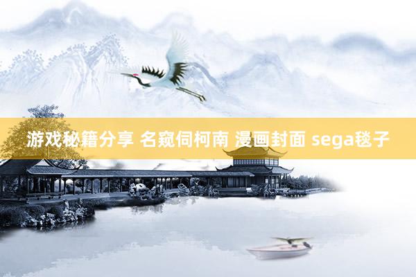 游戏秘籍分享 名窥伺柯南 漫画封面 sega毯子