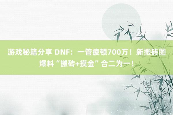 游戏秘籍分享 DNF：一管疲顿700万！新搬砖图爆料“搬砖+摸金”合二为一！