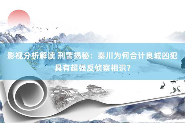 影视分析解读 刑警揭秘：秦川为何合计良城凶犯具有超强反侦察相识？