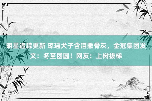 明星追踪更新 琼瑶犬子含泪撒骨灰，金冠集团发文：冬至团圆！网友：上树拔梯