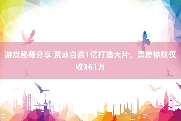 游戏秘籍分享 贾冰自资1亿打造大片，票房惨败仅收161万